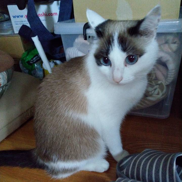 D0cd19d6 c530 4a50 bdd0 7626706876aa 1590899390471