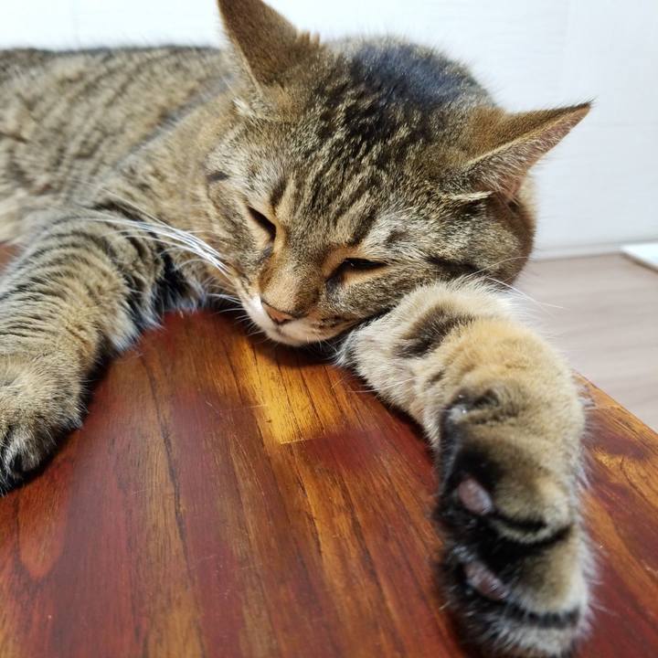 D0cd37c5 2b14 4d31 a83e 020421a21625 1573507197924