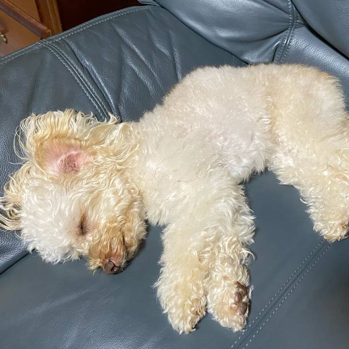 D0cd6374 49d8 4bd5 b602 f1290d02bcfc 1624879284594