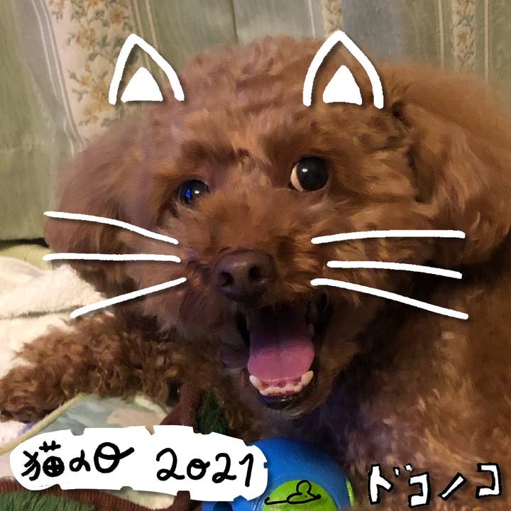 D0cd8e85 112c 48e9 852d 247bac4fdd1e 1613998494557