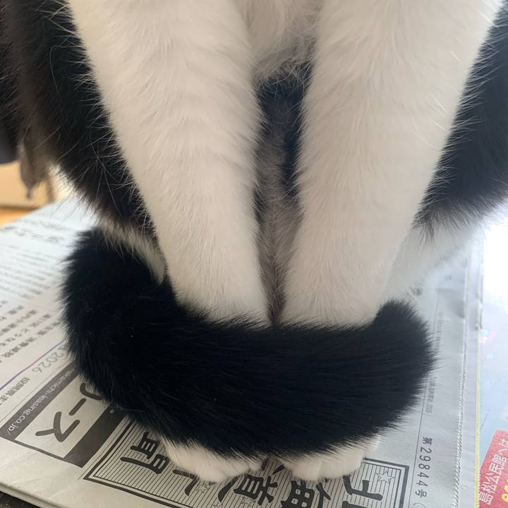 D0cda109 71b2 43b8 b761 cc1575891fe9 1769827167040