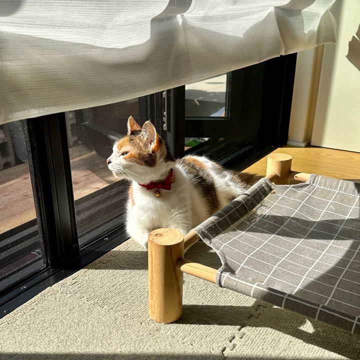 D0cda4cb 3e3c 4a8c a3bf 471c3dbaa416 1694302726664