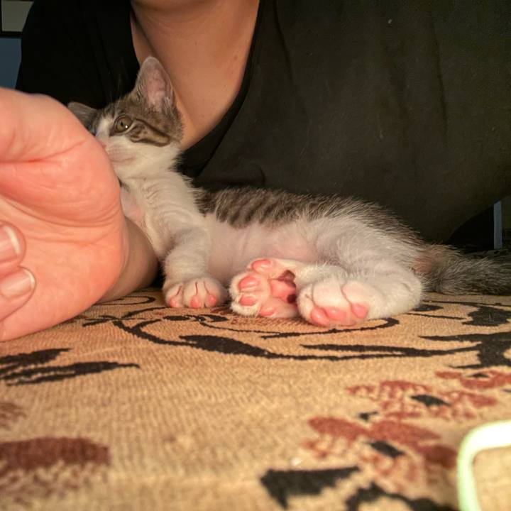 D0cdb709 4e88 49ce bfae ea1ad806dd8f 1721901029208