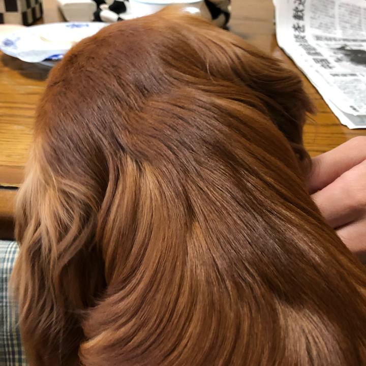 D0ce110f 766a 424f 9131 1ee299fdb2ad 1556231172874