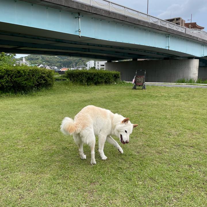 D0ce12e9 7c04 4997 a729 a25f507228b8 1652705267941