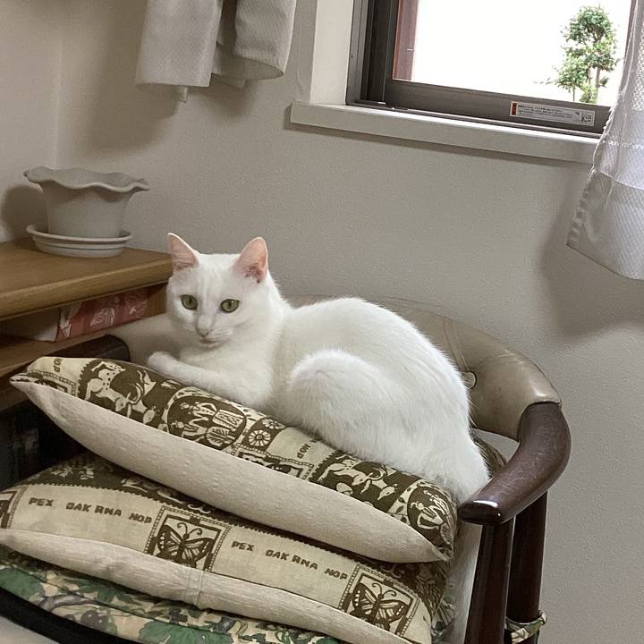 D0ce2513 1073 4199 9415 11a42f28f89a 1662158265167