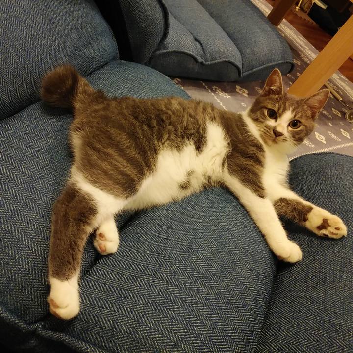 D0ce2893 5870 4ae2 8cf3 e84df1daaf9f 1569855277697