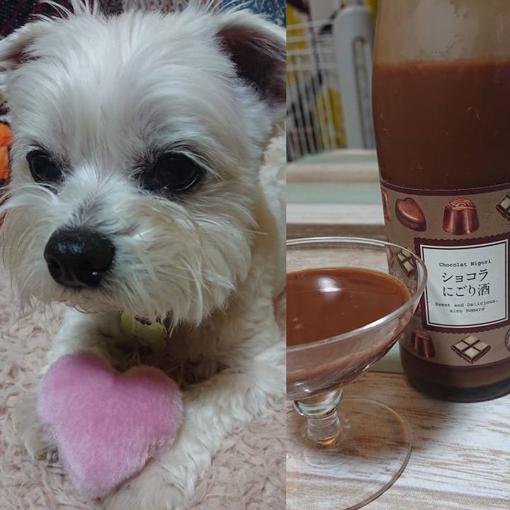 D0ce5a6a 089f 4455 8a70 1c017d922a90 1613300535284