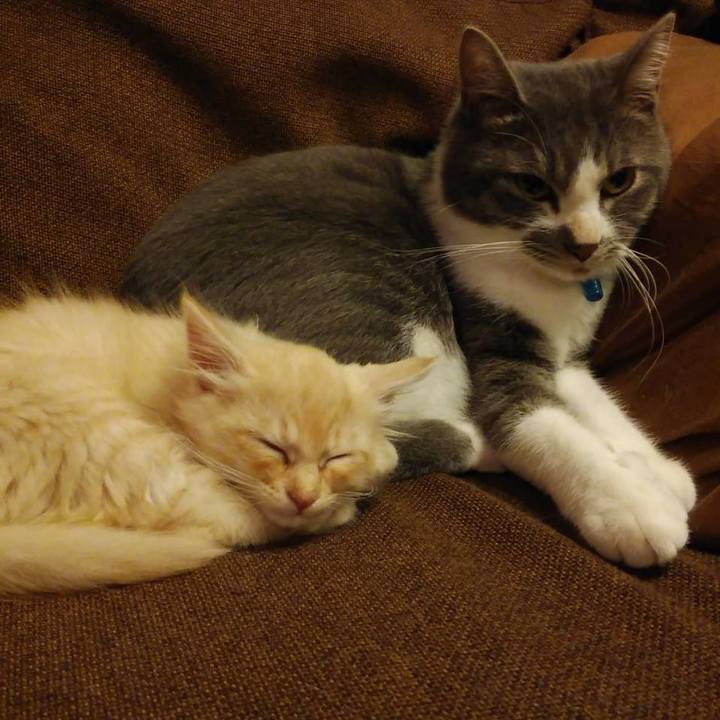 D0ce6161 fe98 436e 9473 b55d02d54174 1603113445111