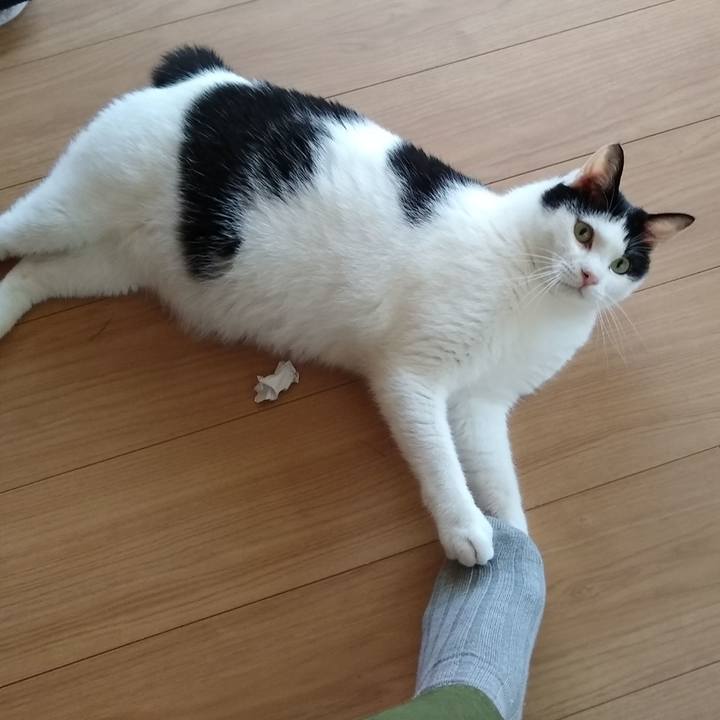 D0ce87bb b675 4346 991b 63bb7b4fc15a 1560166876045