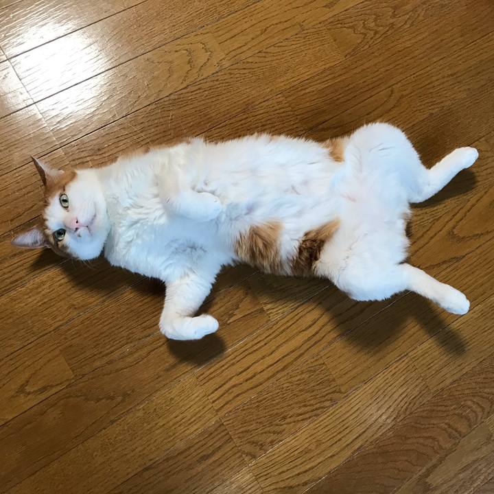 D0cebadf 7bde 4836 828d 3095cf43f7fa 1619685140479