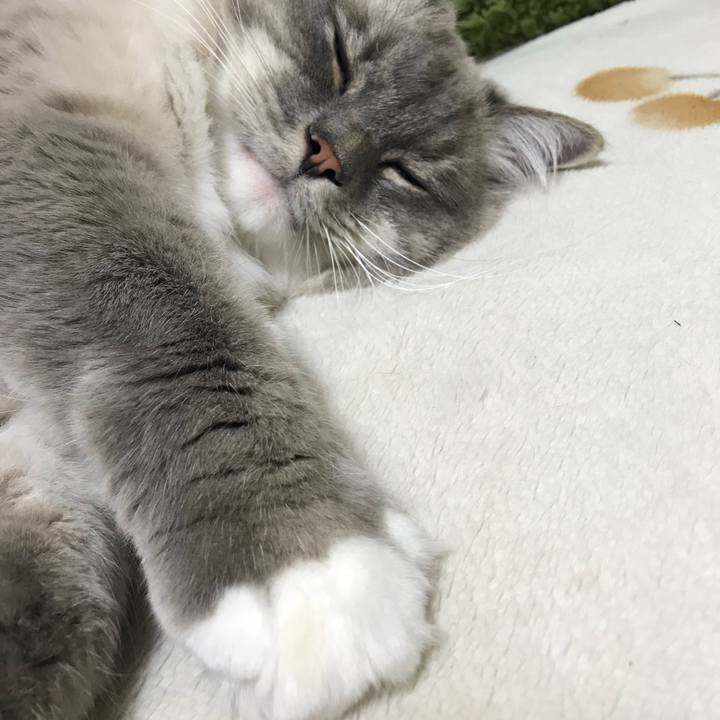 D0cecceb 719f 47ed b0bc bfab4bca5ee7 1512384337820