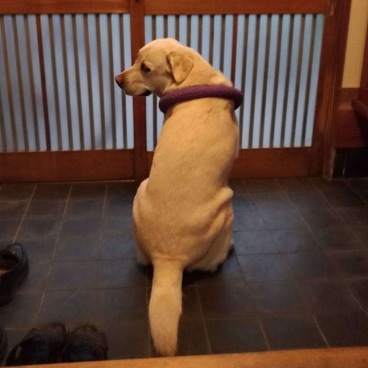 D0cee033 f7d3 4803 af59 71e83868976d 1590757649645