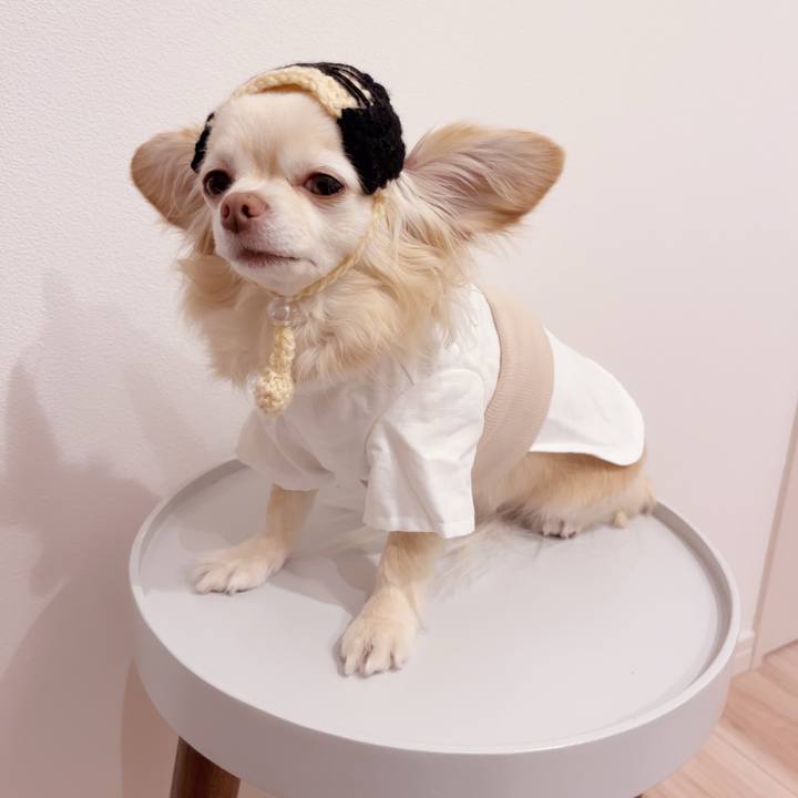 D0cef610 8bc5 4f53 81b8 6ffe5de09bac 1744019331508