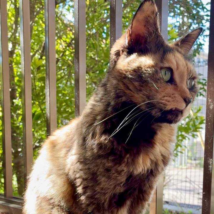 D0ceff5d 8cba 46cb b8e1 f069932b53ef 1775647757952