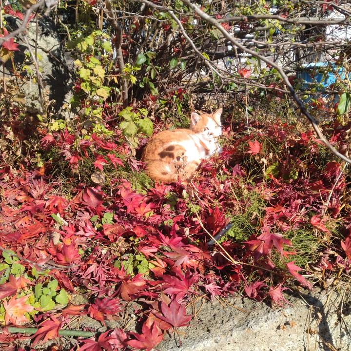 D0cf2e57 19c3 4417 a845 047779993f5f 1763273679432