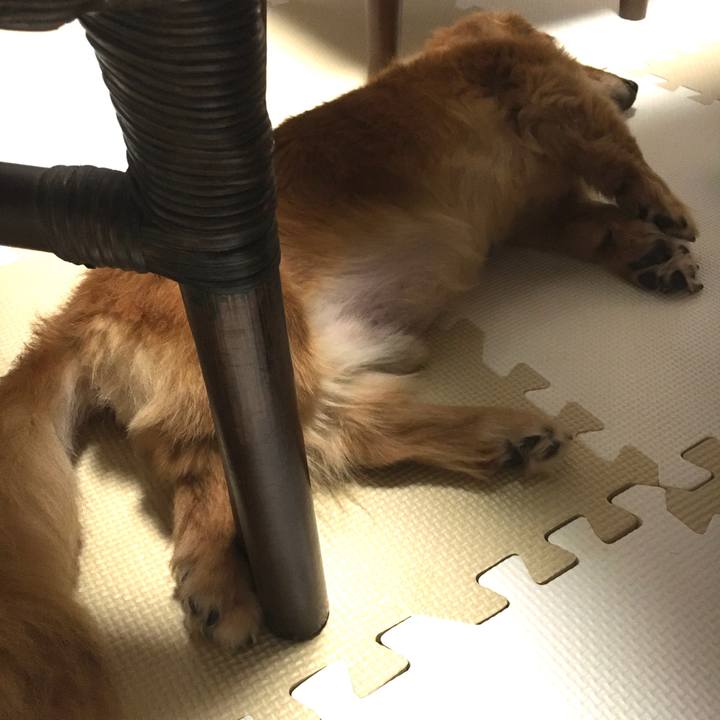 D0cf3a1e e539 42cb 97b3 faa6afc582db 1627388917770