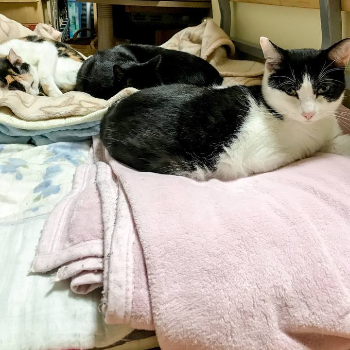 D0cf3d15 ec6a 4d5d bcc0 1e371df894c9 1509670204996