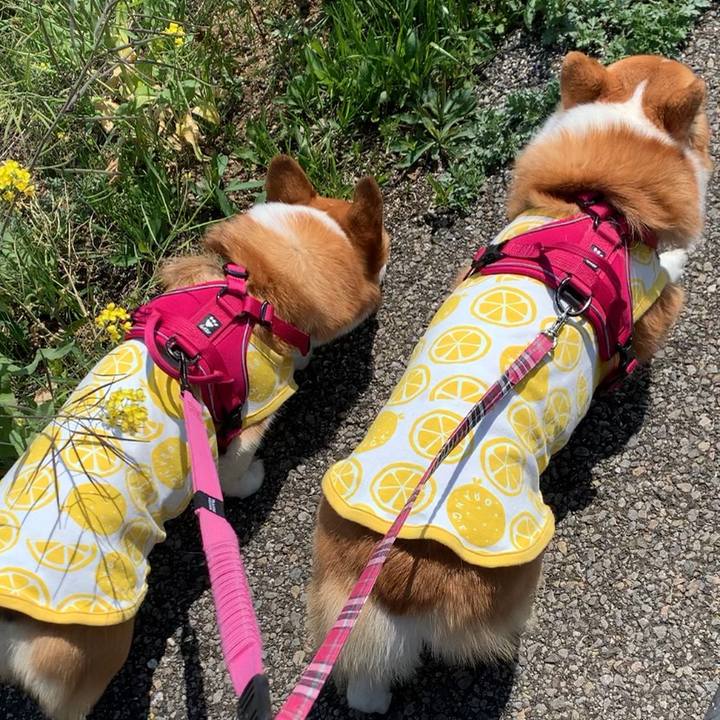 D0cf518d 3c22 47a9 91f6 6945e19718d2 1618113161542