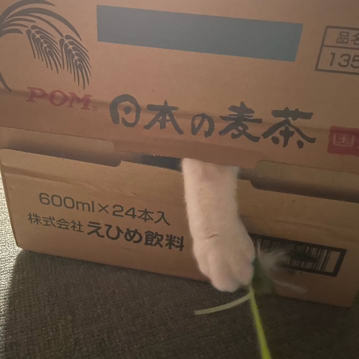 D0cf6e32 1c36 485d 9c3d e88d34982e93 1695562909295