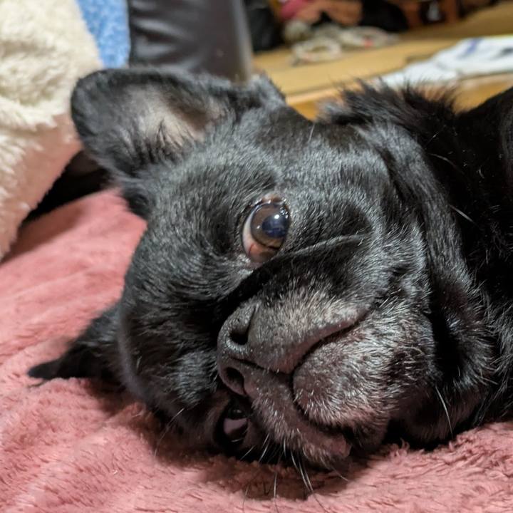 D0cf90f5 d32e 4eb4 97e5 4f1d0ba09d5e 1774529106516