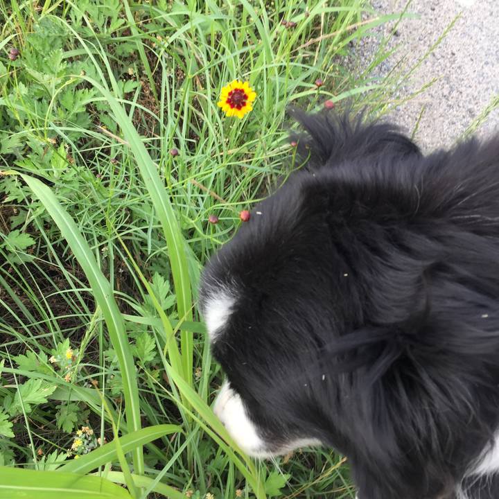 D0cf9506 d5ae 4877 a59a 82214c749388 1560033524523