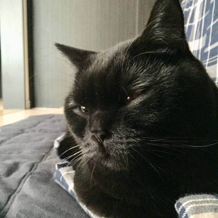 D0cfa957 3a09 46aa 8cb2 024386ad73d8 1514527788190