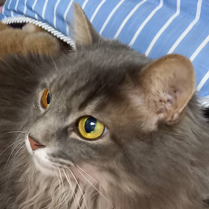 D0cfb1b4 1b96 419e 895d 4fd9229f3a16 1612602652311