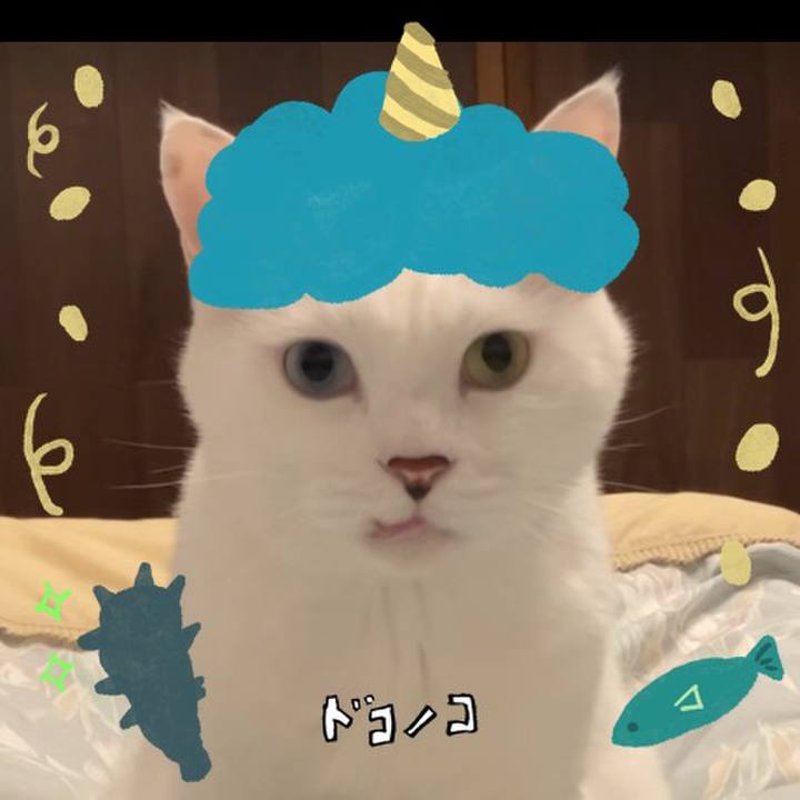 D0cfbe65 c036 4e9b a7c0 eb8d7b5ee113 1706913620079