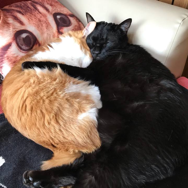 D0cfc8d5 7f98 4709 9339 08c56b4a474a 1618020682377