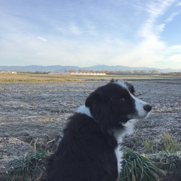 D0d03dfb 5bbb 48b3 aa0e 3b9cf5978b5e 1576194428169