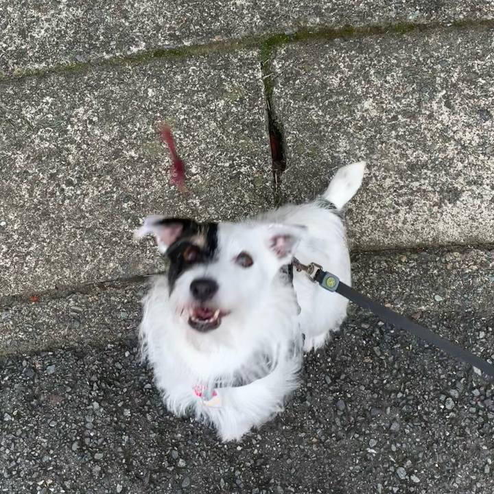 D0d06743 a727 4953 a72b ada3b9744309 1693953775822