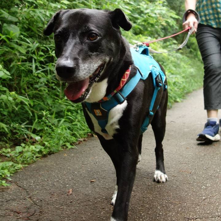 D0d07d8e 3848 4273 80a3 cc2c89d652b0 1721087385799