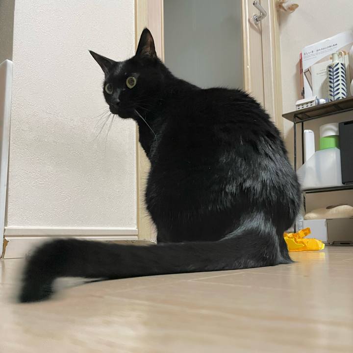 D0d0ba08 d174 4099 a43a 7a964be90378 1713528960054