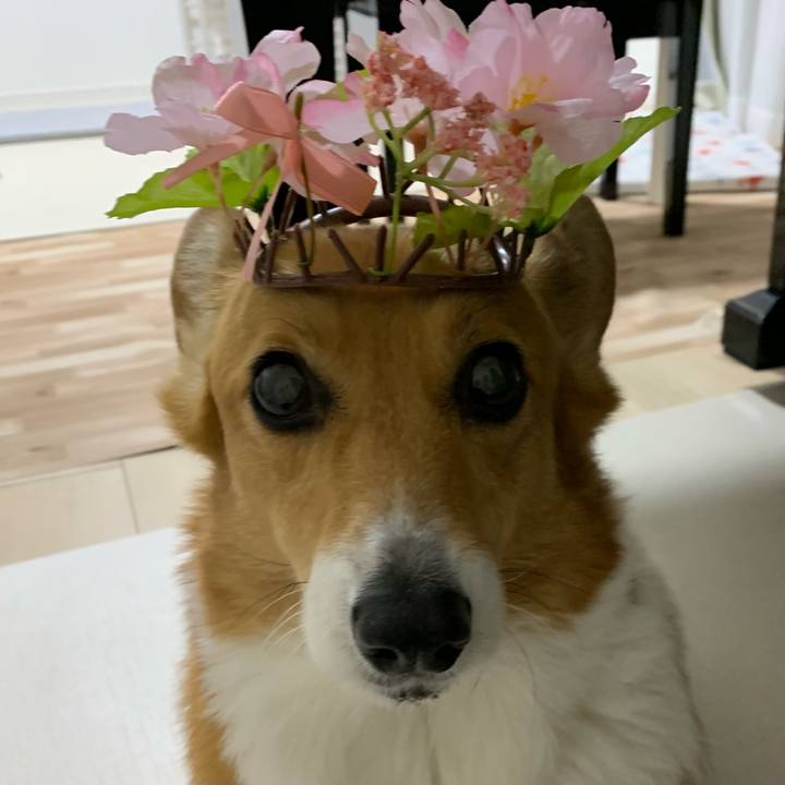 D0d0c1b8 92d3 4b9f 80ae 013ba0b18ec3 1677835528579