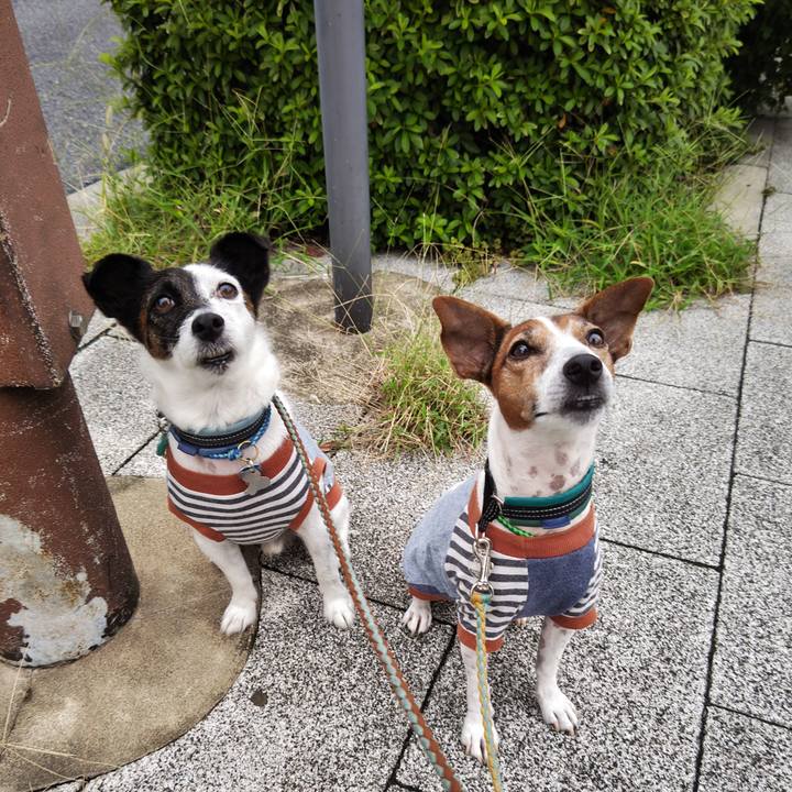 D0d0c541 b8fb 45aa 876d e4526e7eae2e 1728106493673