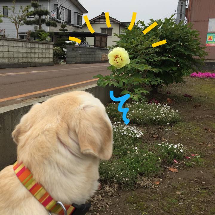 D0d0ceef 3ee1 447c 9a72 fb76c3bb491d 1526171605508