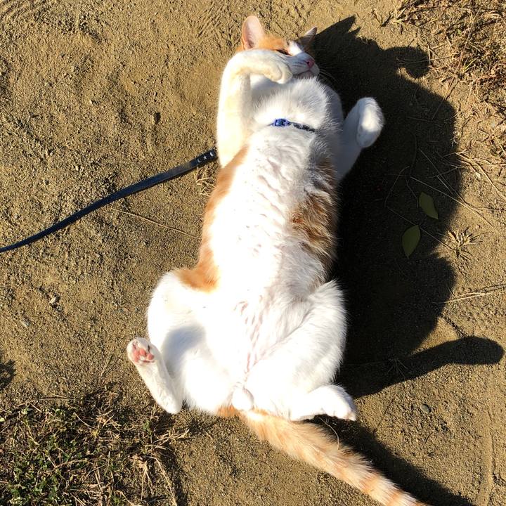 D0d0cfaf 3d2d 47c2 b6d1 cf8d4859a557 1543139543524