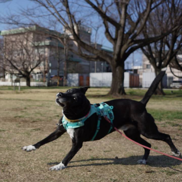 D0d0e56f 4324 47ae 9385 2e4641bc6b18 1774140349288