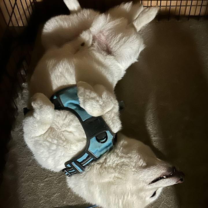 D0d107ee b130 43bf a5e7 7bfa83f268bf 1725746524962