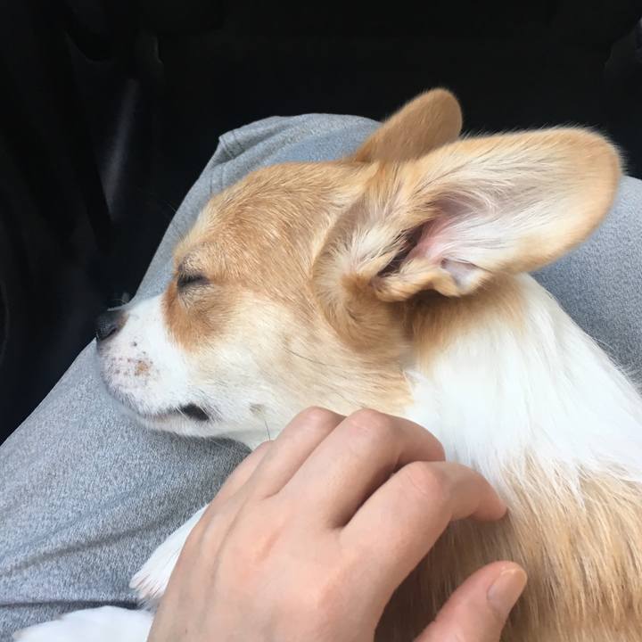 D0d15fc0 8bee 4b5a b2ca caa15e06a3ba 1570261745035