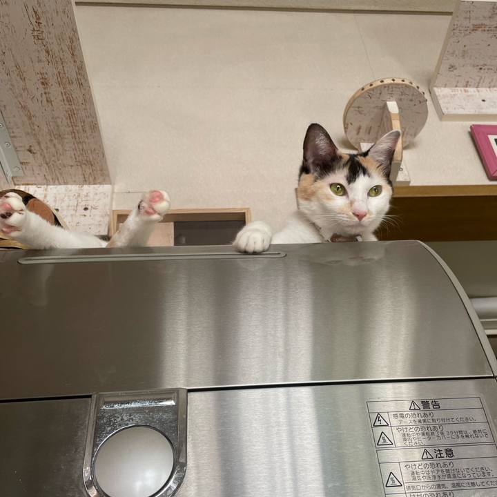 D0d1690b 215e 48e9 a600 984569078cee 1696297684835