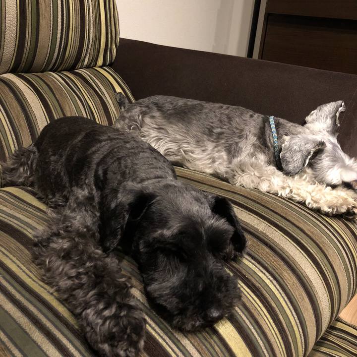 D0d18f7d 6243 4eb7 8c8f d5bc9b9c21d1 1528018388166