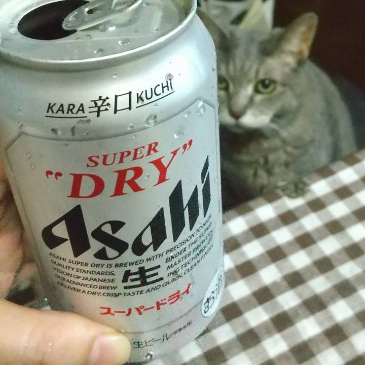 D0d19b88 9e5e 4ec7 b7a9 b3efbacde77d 1658090036989