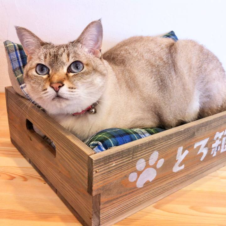 D0d1cbce 1a21 4a78 8430 6f25fdc6593b 1620699423556