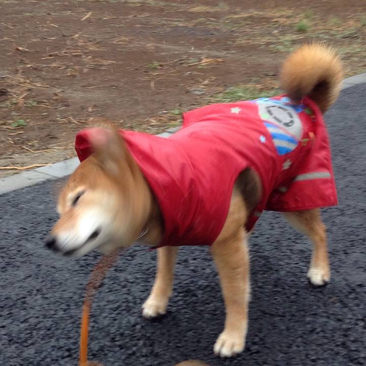 D0d1eabf bd6a 4916 b35f cc1e8e6a4f43 1520472159610