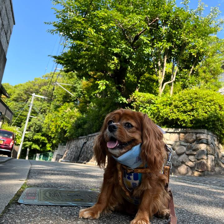 D0d22aad 45d2 45ec 88fb 322f493b563b 1655072935553