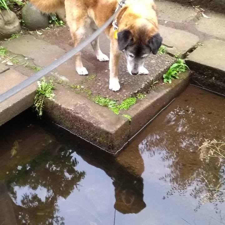 D0d2499f 2eac 4299 b447 94b8ea2e577e 1558433841232