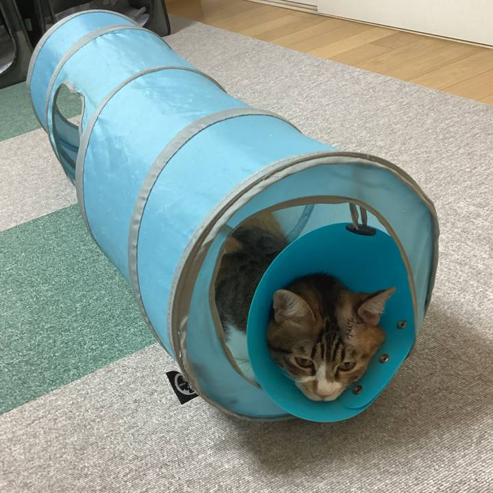 D0d256a8 e060 4e29 8397 2d9ecee01c06 1732178855906