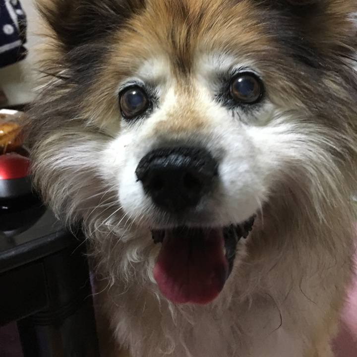 D0d2706e db25 43f1 8437 db6e16289605 1611894339877